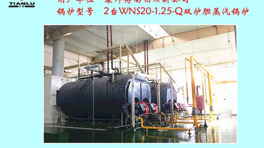 康師傅南唱頂新公司2臺(tái)WNS20-1.25-Q雙爐膽蒸汽鍋爐 康師傅南唱頂新公司2臺(tái)WNS20-1.25-Q雙爐膽蒸汽鍋爐